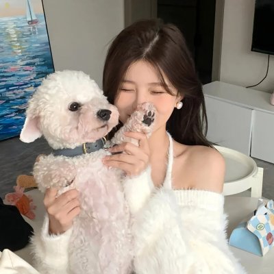 高速路上一只猫